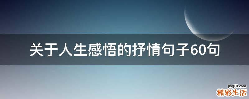 关于人生感悟的抒情句子10句