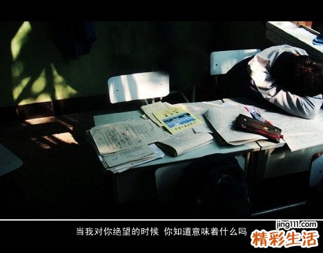 3 冷地卫矛