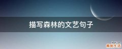 描写森林的文艺句子
