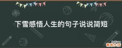 下雪感悟人生的句子说说简短