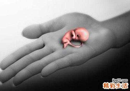 马齿苋孕妇可以吃吗