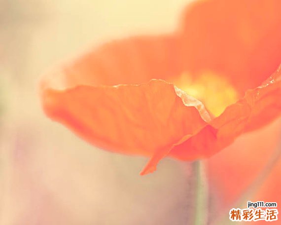 深感觉检查