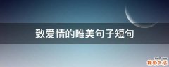 致爱情的唯美句子短句