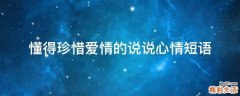 懂得珍惜爱情的说说心情短语