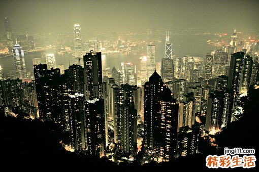 龙葵根