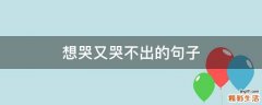 想哭又哭不出的句子