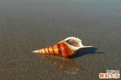 3 毛孔隐形全盘攻略 肌肤紧致光滑不显老