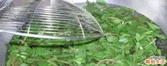 马齿苋需要用开水焯吗 马齿苋焯水后要过凉水吗