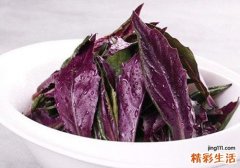 红背菜来月经可以吃吗 红背菜女人可以经常吃吗
