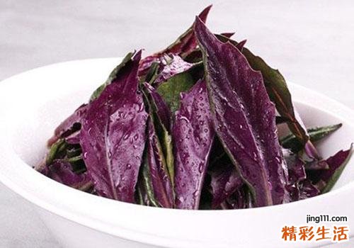 红背菜来月经可以吃吗 红背菜女人可以经常吃吗
