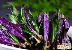 红背菜会致癌吗 红背菜哪些人不能吃
