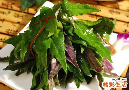 红背菜小孩可以吃吗 红背菜小孩吃有什么好处