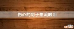 伤心的句子想流眼泪