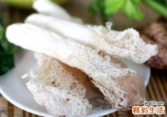 竹荪的营养价值与食用功效