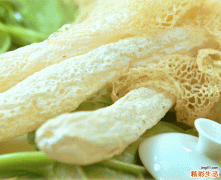 干竹荪怎么处理