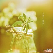 职场人应该了解的那些“亚健康综合症”