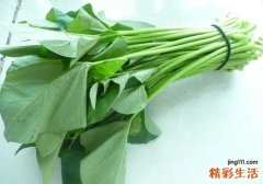 凉拌红薯叶