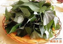 蒜蓉红薯叶