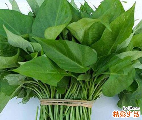 红薯叶的功效与作用 红薯叶怎么做好吃