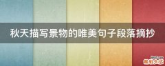 秋天描写景物的唯美句子段落摘抄