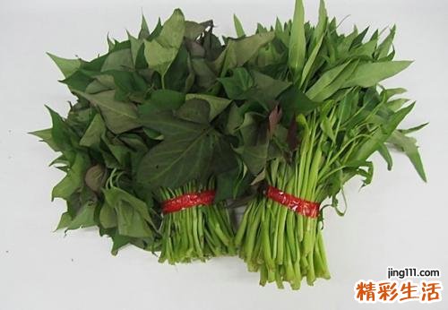 红薯叶的好处 红薯叶的吃法