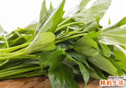 红薯叶吃了可以减肥吗 红薯叶怎么吃有营养