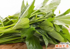 哺乳期可以吃红薯叶吗 吃红薯叶有好处吗