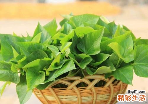 红薯叶能和鸡蛋一起吃吗 红薯叶和鸡蛋怎么吃好