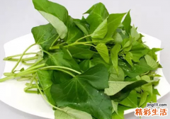 红薯叶可以生吃吗 红薯叶怎么吃好