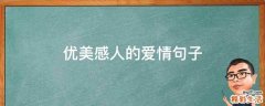优美感人的爱情句子