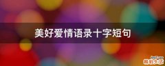 美好爱情语录十字短句