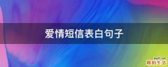 爱情短信表白句子