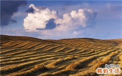 5 12招强效心理减肥法