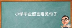 小学毕业留言唯美句子