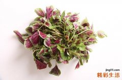 苋菜为什么不能晚上吃 红苋菜可以天天吃吗