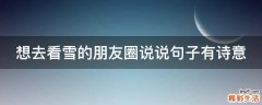 想去看雪的朋友圈说说句子有诗意