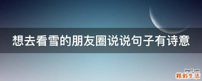 想去看雪的朋友圈说说句子有诗意