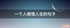 一个人感悟人生的句子