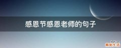 感恩节感恩老师的句子