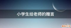 小学生给老师的赠言