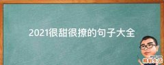 2021很甜很撩的句子大全