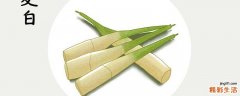 茭白的功效与作用禁忌 茭白可以生吃吗