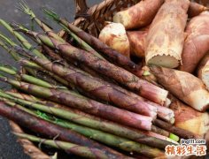 竹笋的功效与作用及食用方法