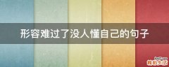 形容难过了没人懂自己的句子