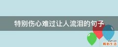 特别伤心难过让人流泪的句子