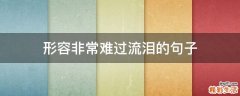 形容非常难过流泪的句子