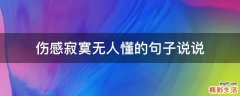 伤感寂寞无人懂的句子说说