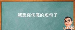 我想你伤感的短句子