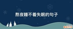 熬夜睡不着失眠的句子