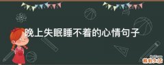 晚上失眠睡不着的心情句子